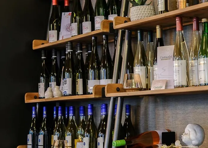 Maison d'hôtes Warsberger Weinhof - & Weinwirtschaft Neumagen-Dhron